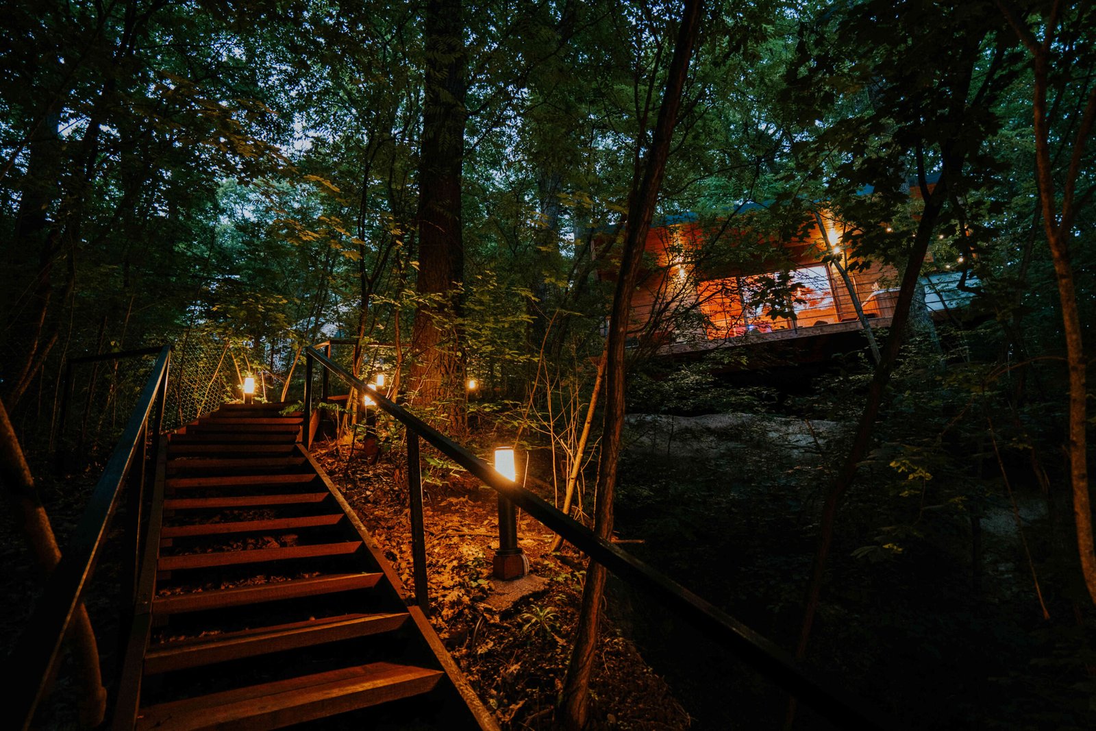 woodhouses-noszvaj-lombhaz-49_optimized_optimized-scaled